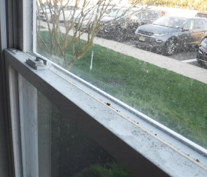 window sill with dead bugs and waste