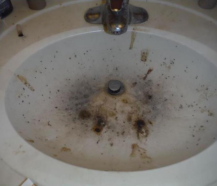 Sink with mold and debris