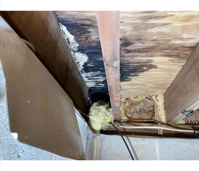 Crawl space with mold growth on underside of subfloor