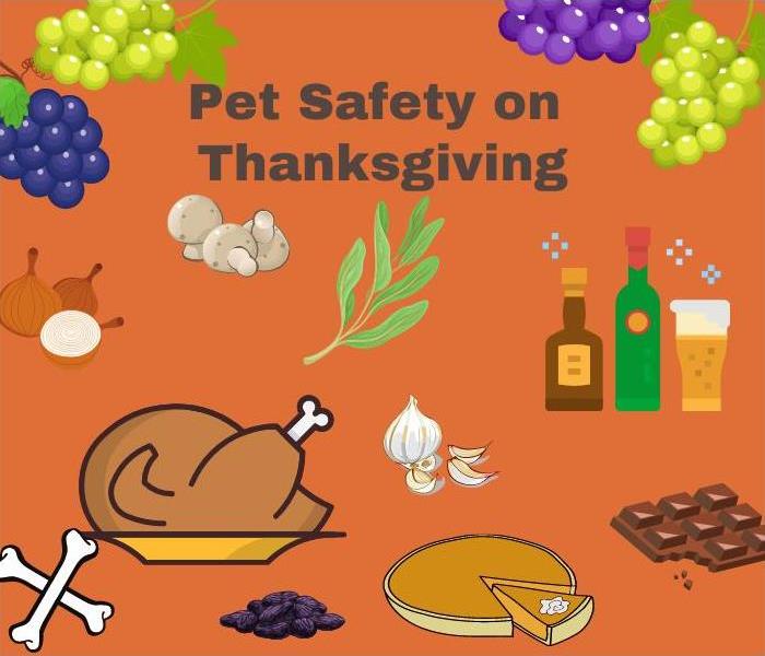 Foods not safe for pets on Thanksgiving
